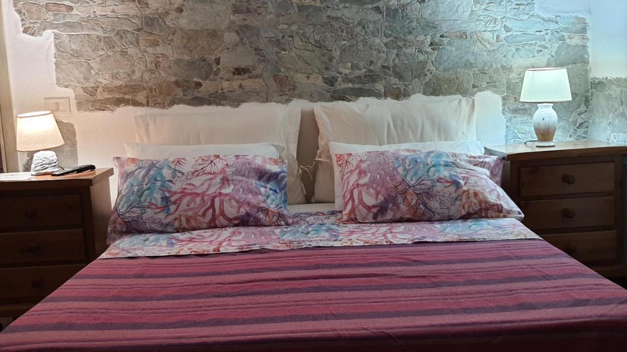 Cerasella B&B Tenuta Di Vado Piano Nella Selva Di Circe מראה חיצוני תמונה