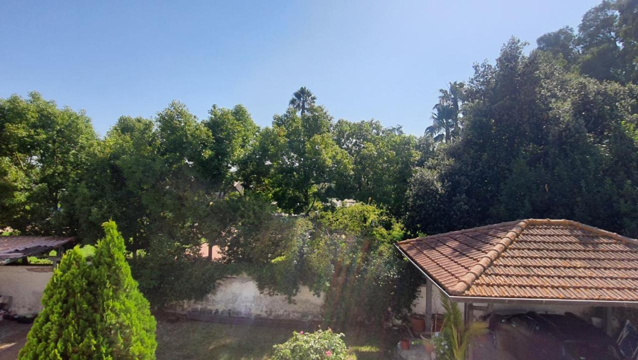Cerasella B&B Tenuta Di Vado Piano Nella Selva Di Circe מראה חיצוני תמונה